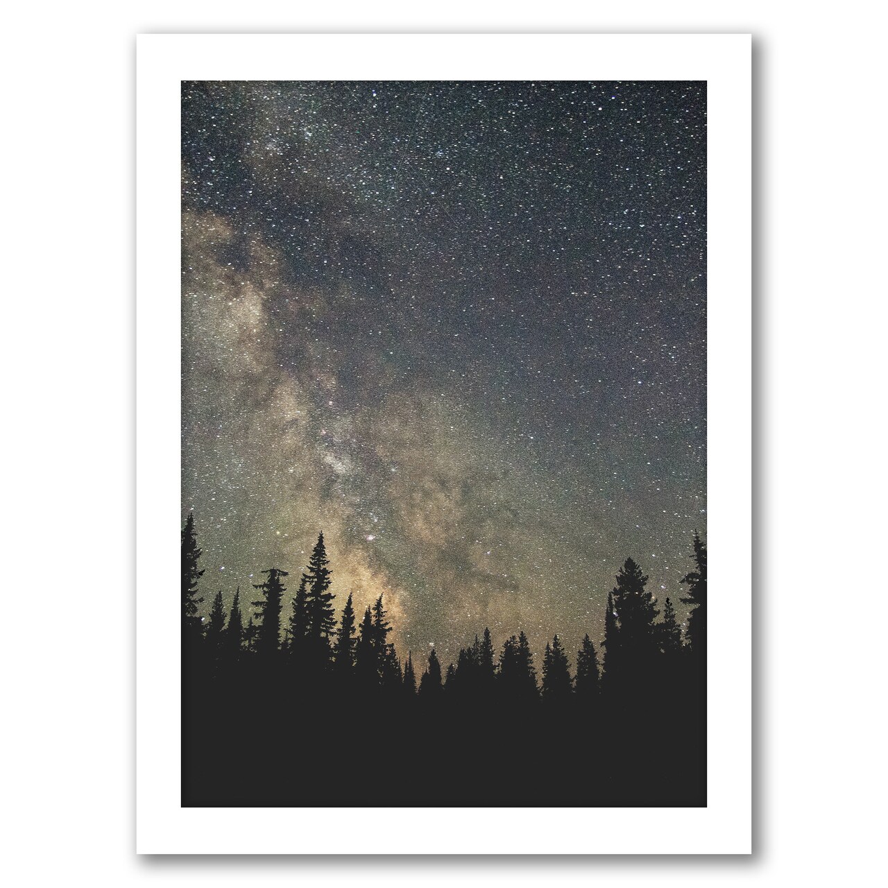 Stars Over The Forest Ii by Luke Gram Frame  - Americanflat